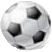 soccer icon