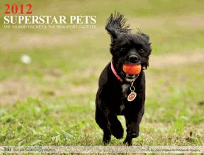 Pet Calendar