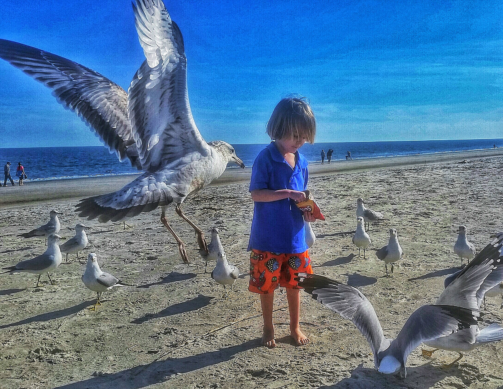 This photo was taken in February 2015. This is my son Thompson feeding seagulls at Folly Beach. 