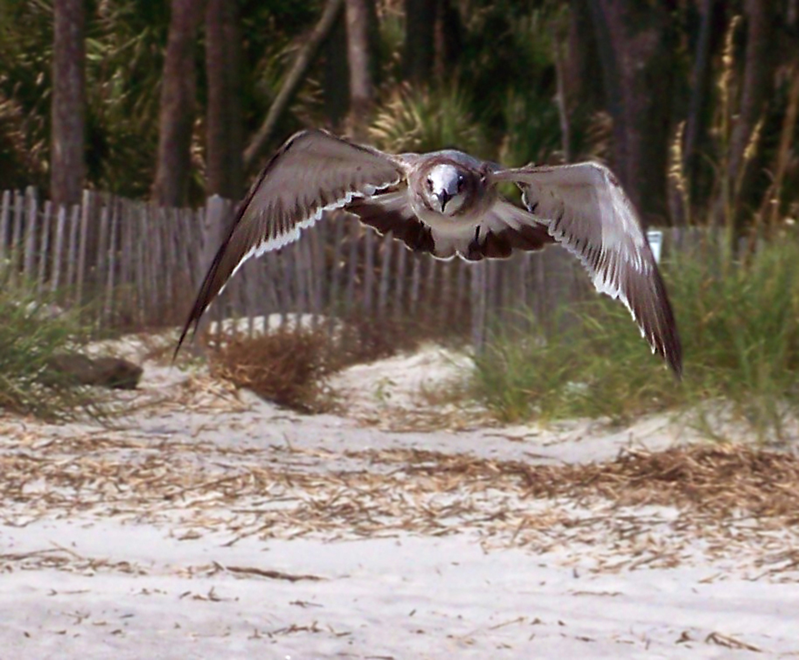 Taken while on a school naturalist field trip