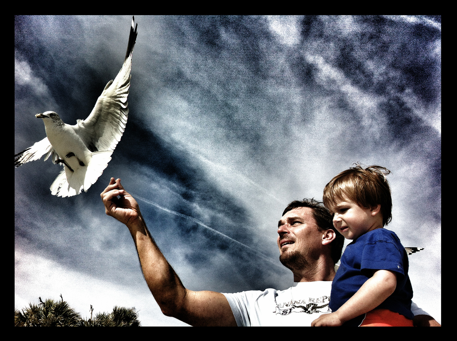 This photo was taken March 21, 2014, at Hunting Island State Park. We just happened to be feeding seagulls when I snapped a photo at the perfect time. That's what I call luck!